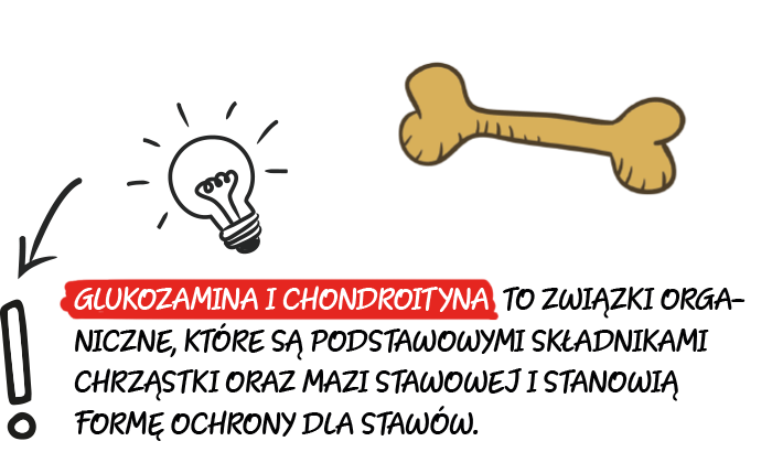 glukozamina i chondroityna